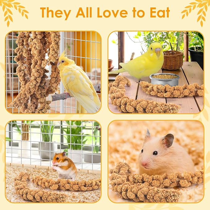 KATUMO Spray Millet for Birds, 2.0LB / 910g Natural Sun-Dried Millet Spray Bird Treats Parakeet Food for Cockatiels Conures Parrots Hamsters Finches