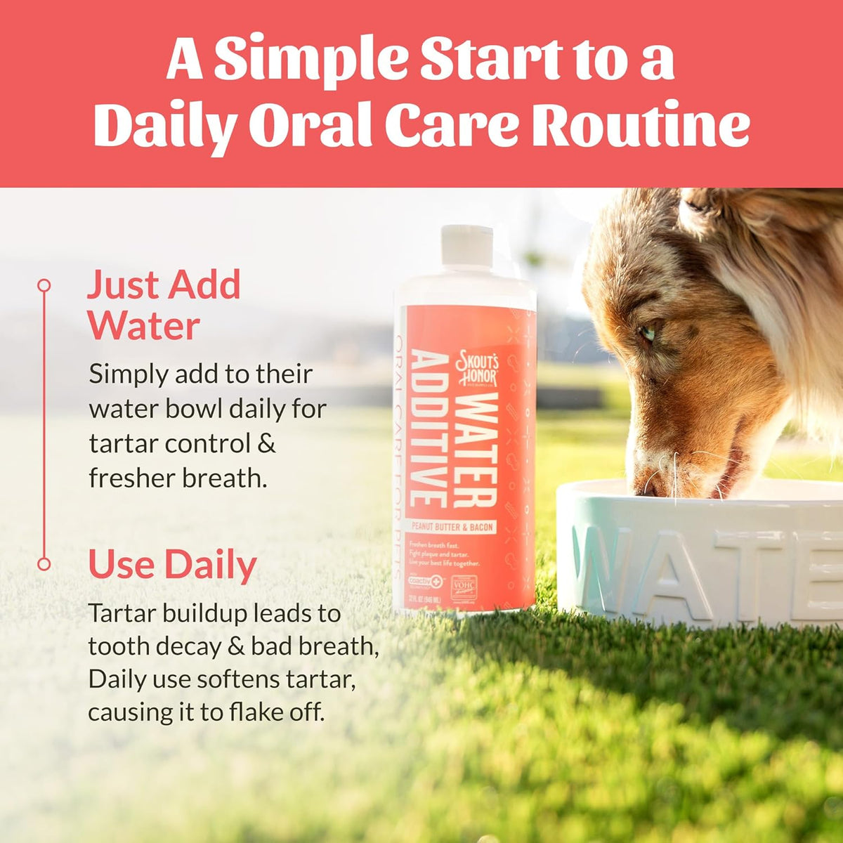 SKOUT'S HONOR Peanut Butter & Bacon Water Additive - VOHC Accepted for Tartar Control, Freshens Breath Fast, No Brushing Required, 32 oz