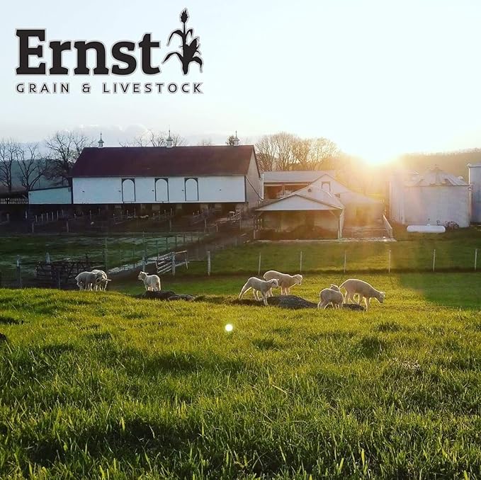Ernst Grain & Livestock's Bird and Wildlife Feed – Perfect for Birds, Ducks, Squirrels, Turkeys, Rabbits, Geese, and Deer – Non-GMO Wild Animal & Bird Feed for Outside Feeders (46 Pounds)