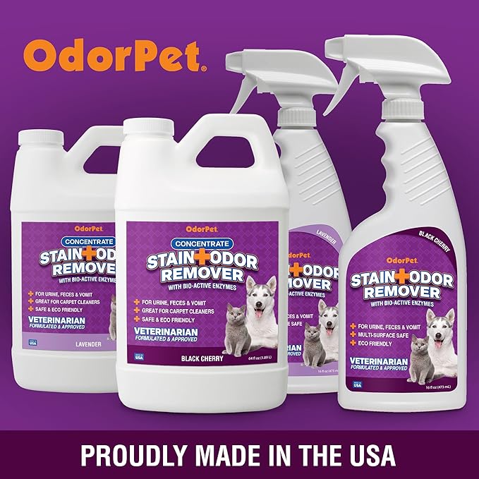 OdorPet Pet Stain Remover and Odor Eliminator - 16 Oz Ready To Use Spray, Non Staining, Professional Strength, Black Cherry Scent by Alpha Tech Pet
