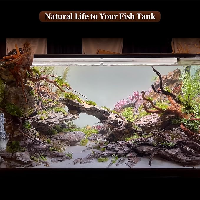 majoywoo Natural Large Driftwood for Aquarium Decor Reptile Decor, Assorted Spider Wood Branch 13-17" Long, Fish Tank Decoration