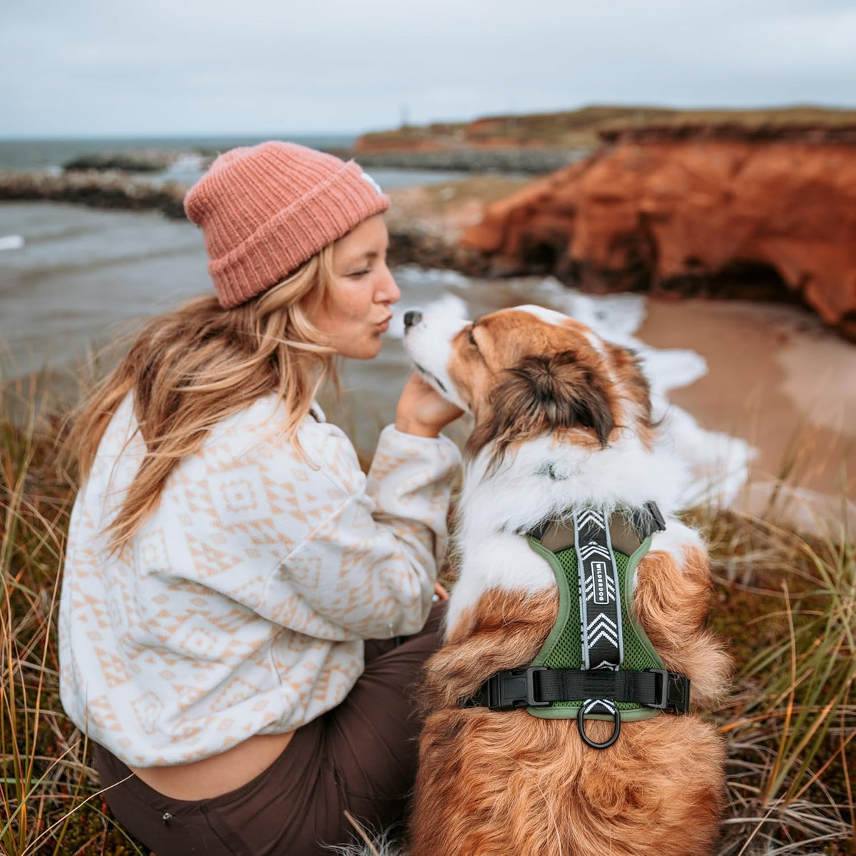 Wilderdog Lightweight Dog Harness with Reflective Straps - Large - Olive