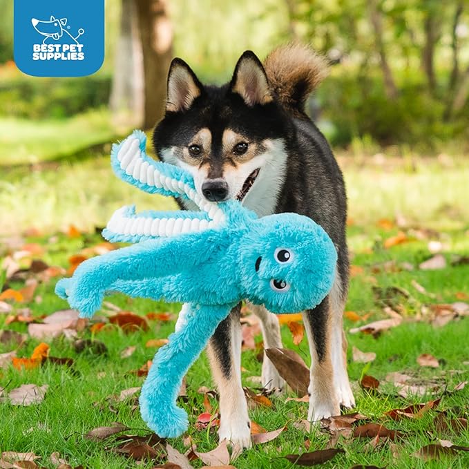 Best Pet Supplies Interactive Squeaky Dog Chew Toy, Ideal Dog Toys for Chewers, Small, Medium & Large Dogs, and Fetch Lovers - Octomutant (Turquoise), Large