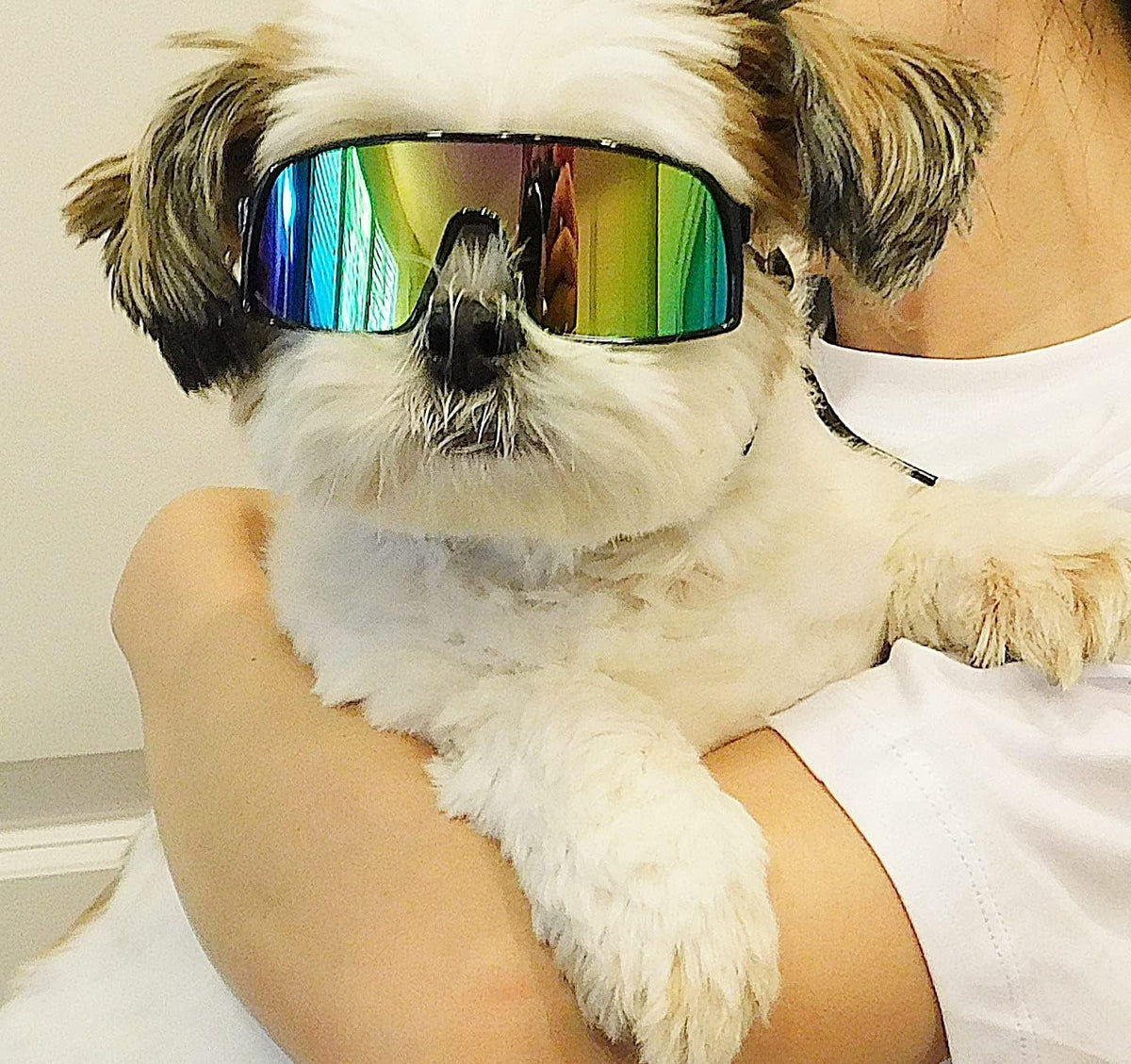 G029 Small Dog Breed 8-18lbs Pet Puppy Cat Sports Turbo Sunglasses (Sport Turbo Black-Rainbow Mirror)