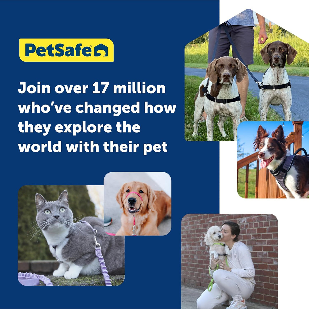 PetSafe 3 in 1 Dog Harness - No Pull Solution for Dogs - Reflective Dog Harness - Front D-Ring Clip Helps Stop Pulling - Comfortable Padded Straps - Top Handle Enhances Control - Teal - Small
