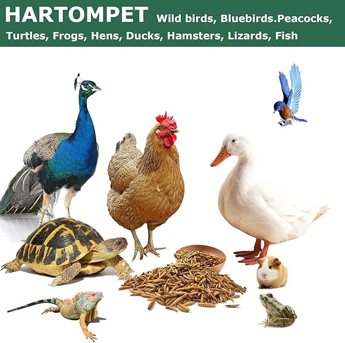 Dried BSF Larvae for Chickens - Non-GMO Poultry Feed Supplement, 85X More Calcium Than Mealworms, 5LB Grub Worms Perfect for Molting & Laying Hens, Ducks, and Wild Birds