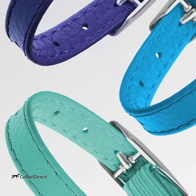 CollarDirect Leather Cat Collar, Kitten Collar with Removable Bell Black Blue Red Orange Lime Green (6-7 Inch, Light Blue)