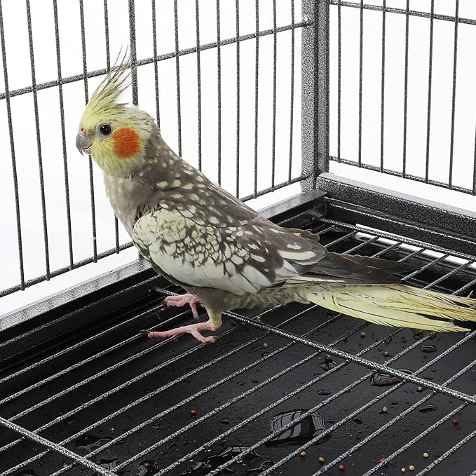 Yaheetech 60.5inch Extra Large Bird Cage Metal Parrot Cage Flight Cage for Cockatiels African Grey Quaker Green Cheek Sun Conure Medium Birds Parrots