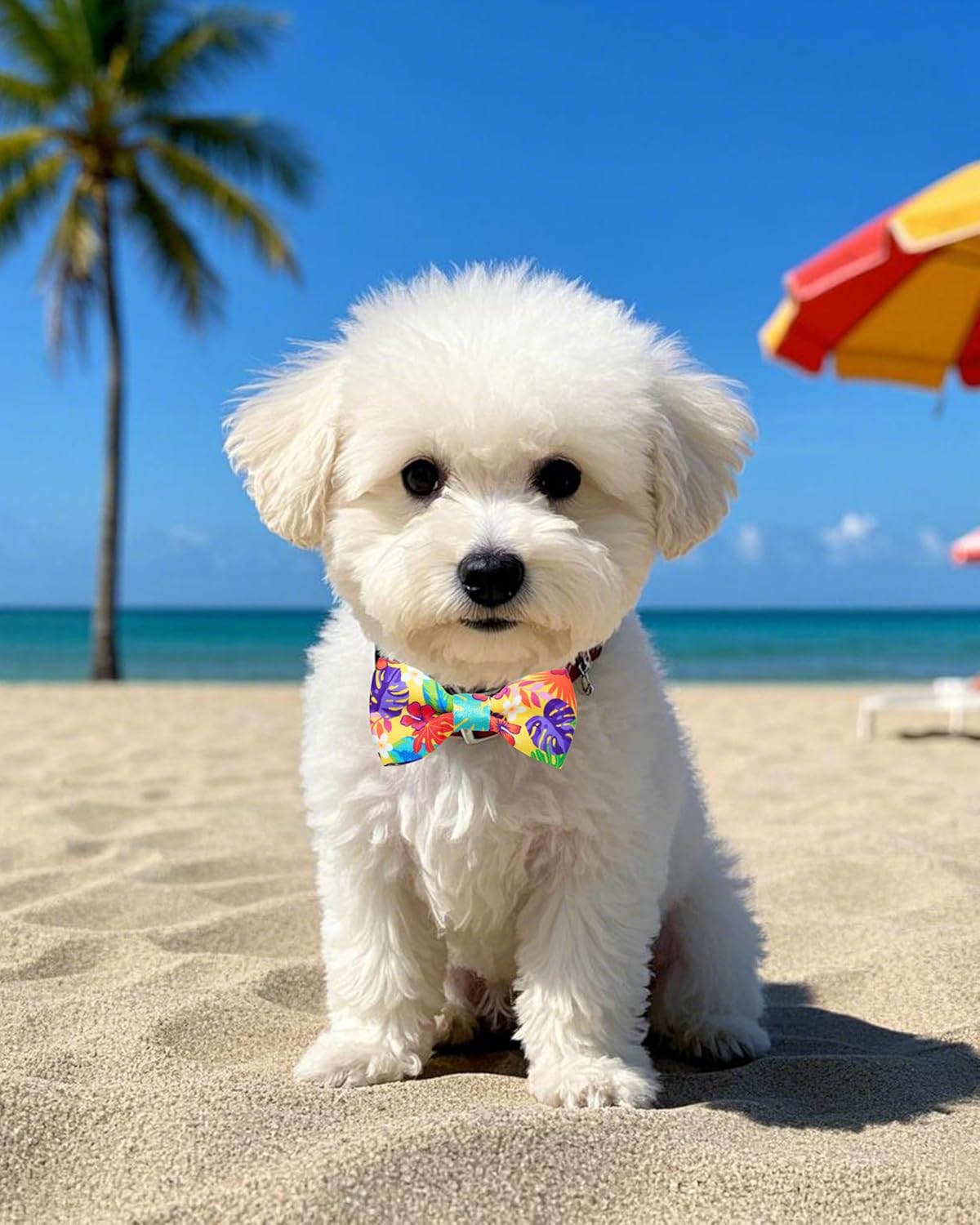 PET SHOW 10 Pack Summer Small Dog Bow Ties Sliding Collar Attachments Puppy Cats Hawaiian Bowties for Medium Dogs Floral Fruit Bowknots Party Holiday Pet Grooming Accessories(Small)