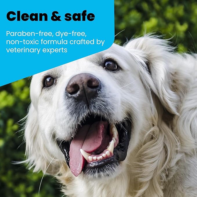 Oxydent Premium Pet Dental Care Solution - Pet Water Additive & Mouthwash for Teeth Cleaning - Eliminate Bad Dog & Cat Bad Breath - Dog Dental Rinse - Fights Tartar & Plaque - 1 Gallon