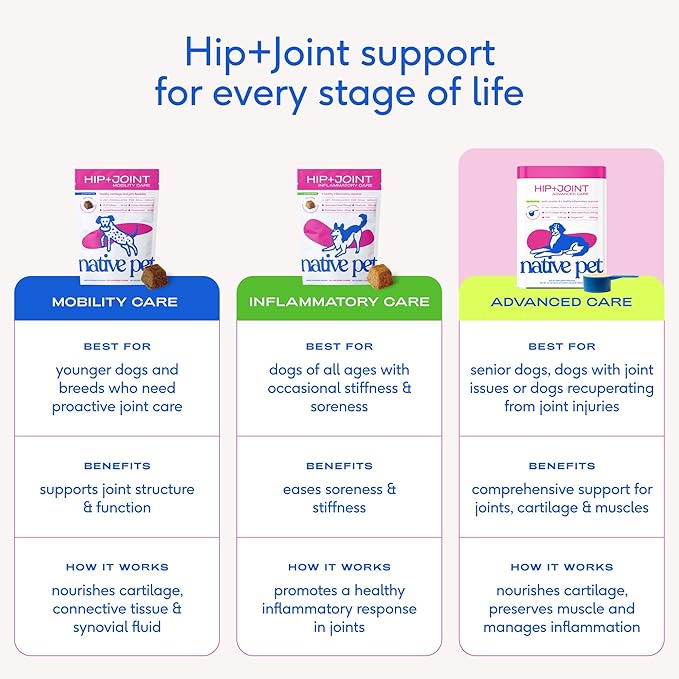 Native Pet Advanced Care - Hip & Joint Supplement for Dogs - Supports Joints, Cartilage, Muscles & Anti-Inflammatory with HMB, UC-II Collagen, Green Lipped Mussel & Hyaluronic Acid - 120 Scoops