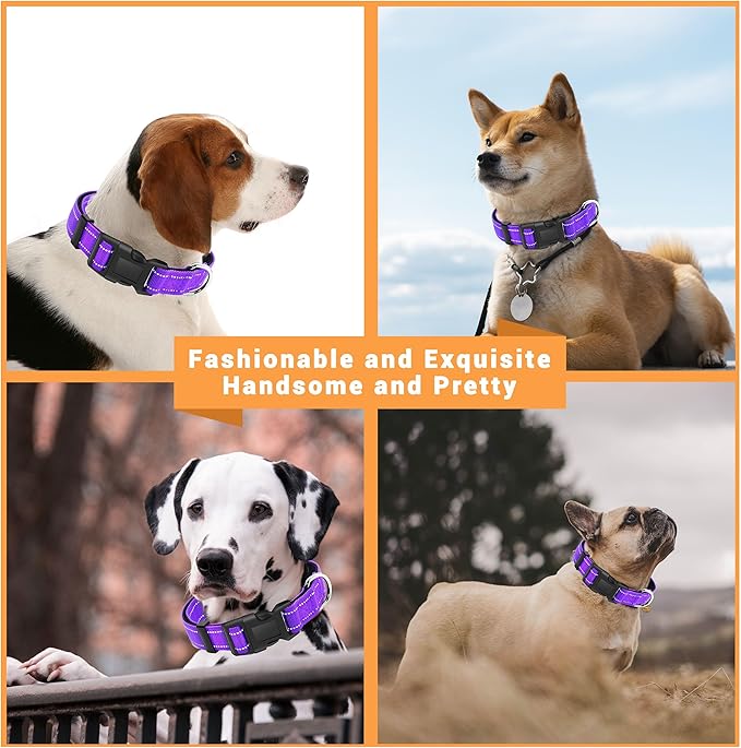 2 Pack Reflective Dog Collar with Safety Locking Buckle, Adjustable Soft Breathable Comfortable Nylon Pet Collar for Small, Medium and Large Dogs, Purple, S
