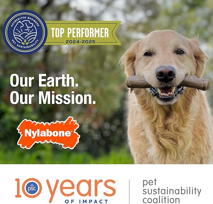 Nylabone Limited Edition 70th Birthday Donut Power Chew Toy for Dogs, Durable & Tough Dog Toys for Aggressive Chewers, Pumpkin & Peanut Butter Flavor, Large - Up to 50 lbs (1 Count)