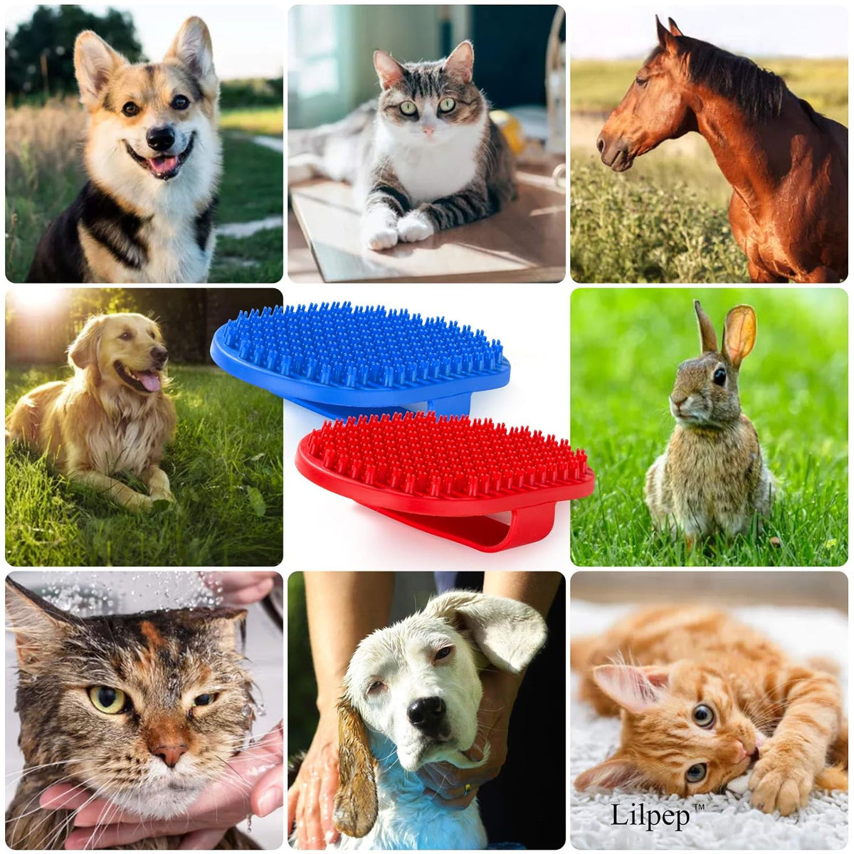 Lilpep Dog Bath Brush, Rubber Pet Shampoo Brush with Silicone Bristles for Massaging Grooming, Removing Short Haired Dogs Cats Shedding, Tangles and Dead Undercoat 2pcs (Blue+Red, plum brush)