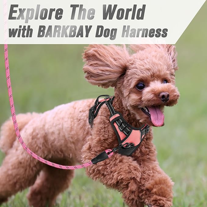 BARKBAY No Pull Dog Harness Front Clip Heavy Duty Reflective Easy Control Handle for Large Dog Walking(Light Pink,XS)