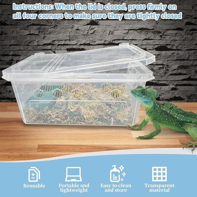 PINVNBY Reptile Feeding Box 6 PCS Snake Breeding Box Lizard Cricket Cage Habitat Hatching Container Transparent Portable Critter Keeper for Spider Scorpion Gecko Tortoise Treefrog (2 Large 4 Small)