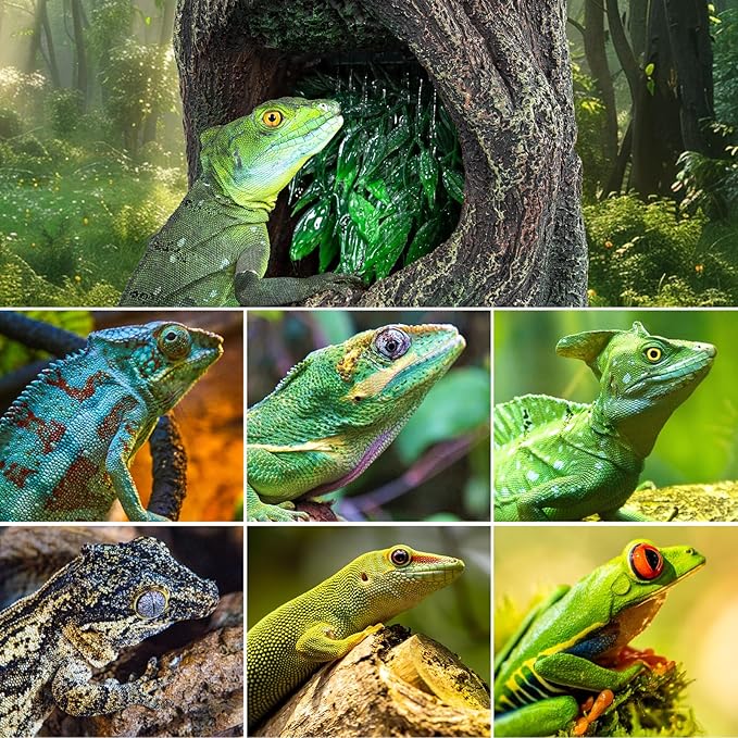 REPTI ZOO Reptile Waterfall Drinking Fountain with Food Dish, 1000ML Large Reptile Terrarium Water Dispenser for Bearded Dragon Chameleon Gecko Lizard Tree Frog