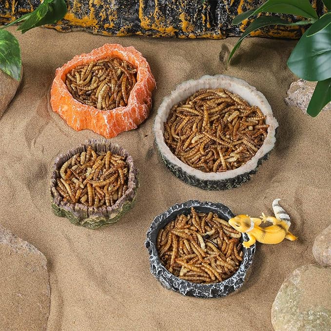 IBWell 2pcs Reptile Water Bowl with Feeding Tweezers - Food Dish for Lizard, Snake, Tortoise & Small Animals - Loess