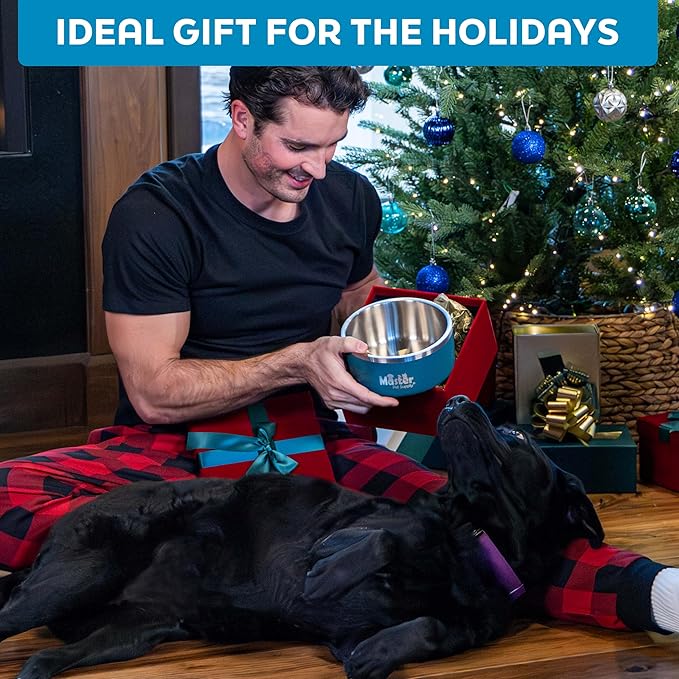 Master Pet Supply Stainless Steel Dog Bowls - 32 oz, Heavy Duty - Rose Quartz, Double Wall Extra-Thick Insulated, Non-Slip Pet Water Bowl for Dogs, Cats & Pets, Anti Rust Metal, Dish Washer Safe