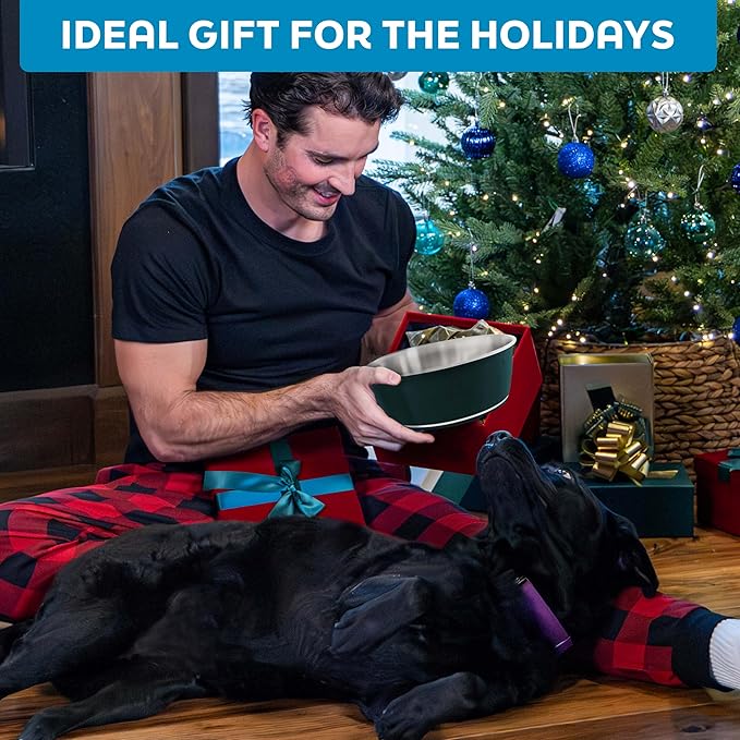 Master Pet Supply Stainless Steel Dog Bowls Set of 2 (16 Oz Each) with Non-Slip Rubber Base - Graphite - Basic Dog Food Bowl Water & Food Bowls for Small Medium Large Dogs & Cats, Metal Dish