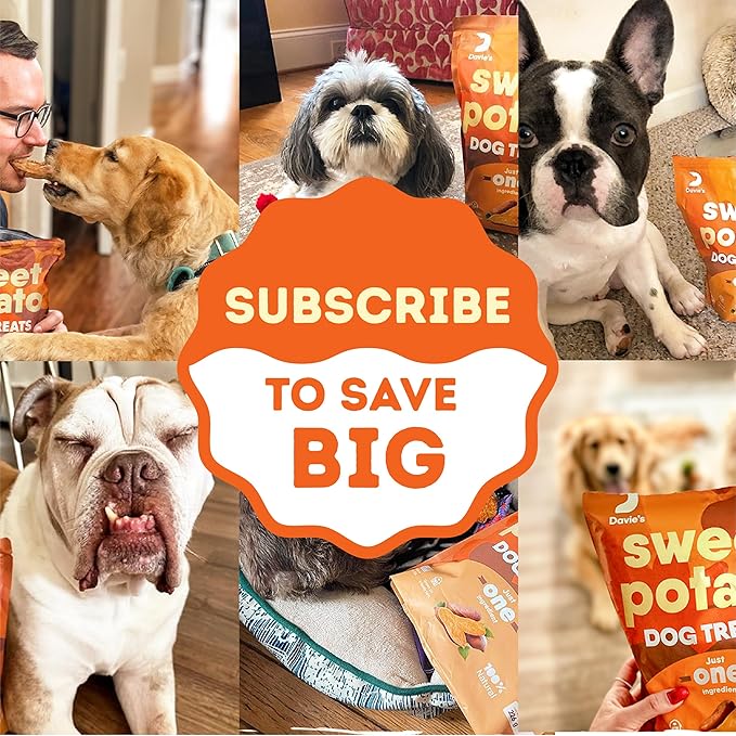 Davie's Sweet Potato Dog Treats - Healthy Treats Made in USA Only, Natural, Healthy Dog Chews, Low Fat, 1 lb Bag - Pack of 2