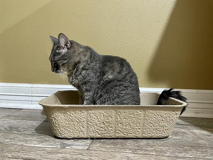 Midlee Disposable Cat Litter Boxes Pack of 5- Travel Portable Pet Tray Liner Pan