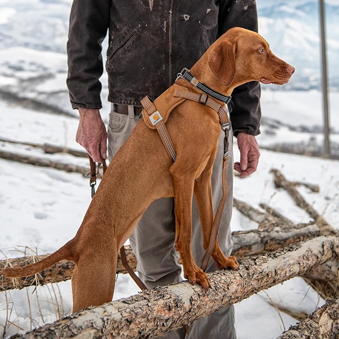 Carhartt Nylon Duck No Pull Dog Harness, Fully Adjustable Dog Harness with Quick Control Handle and Reflective Accents, Deep Wine, Large
