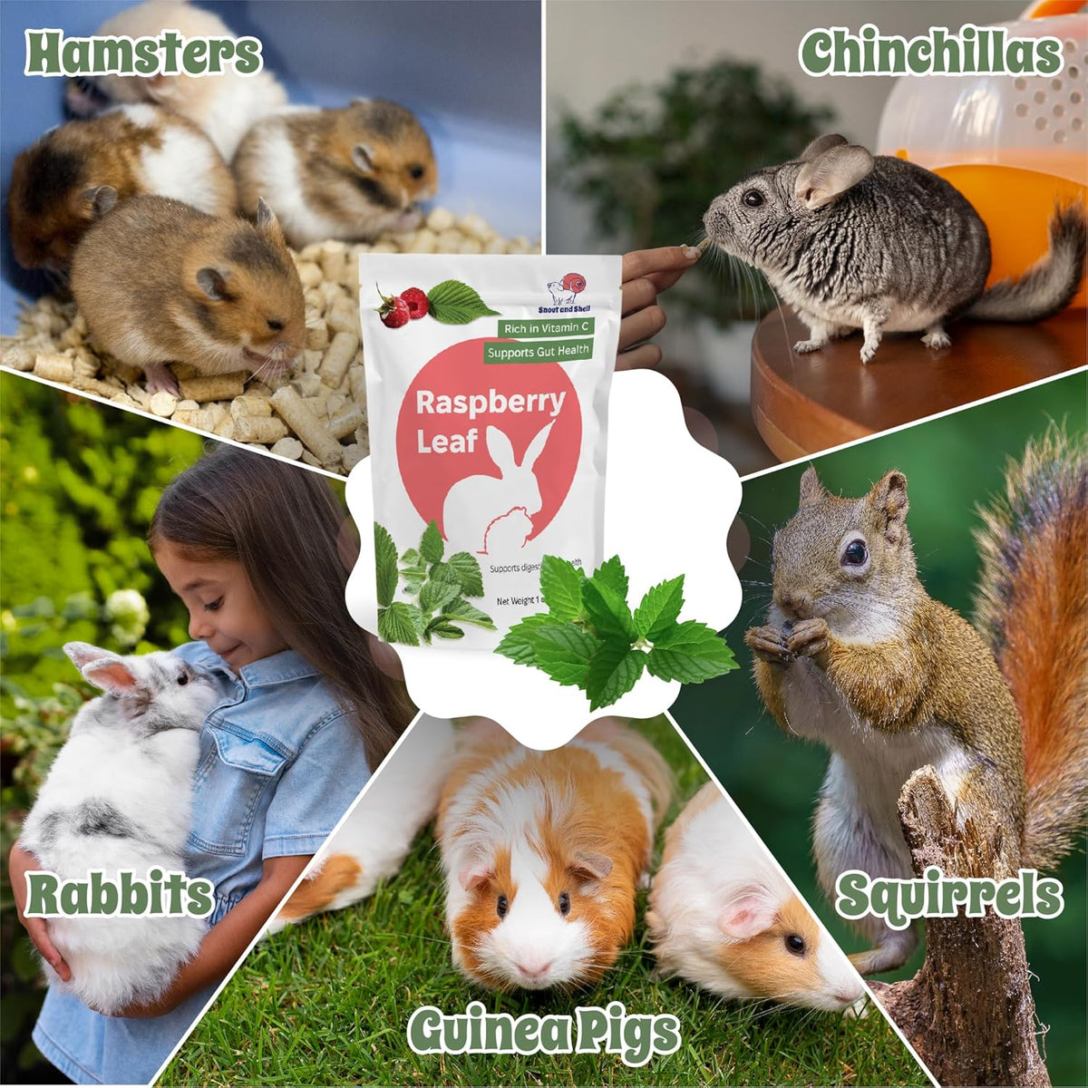 Snout and Shell Raspberry Leaf for Small Pets – 100% Natural Treat for Rabbits, Guinea Pigs, Hamsters & More – Rich in Vitamin C & Supports Gut Health – 1 oz (30g)