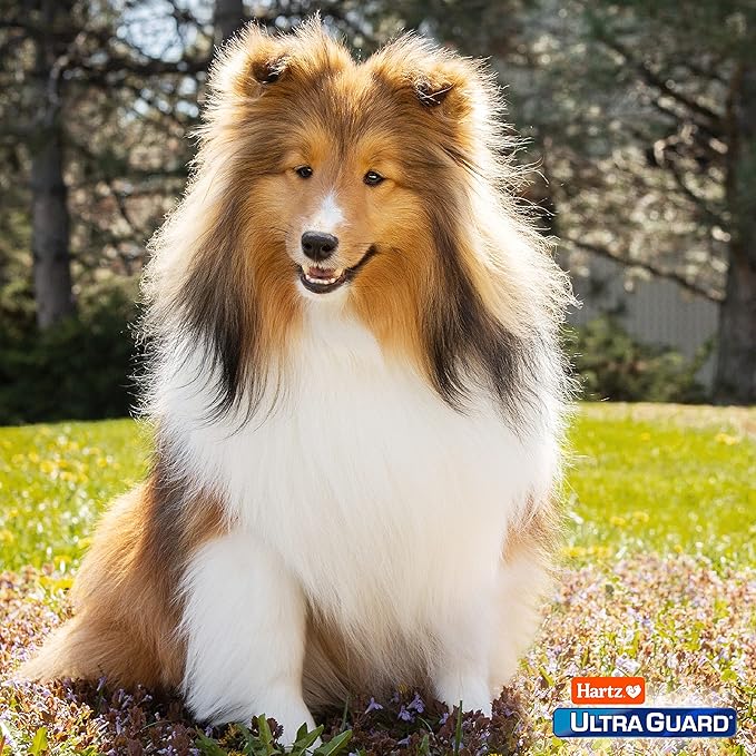 Hartz UltraGuard Dual Action Flea & Tick Topical Dogs & Puppies Treatment & Prevention, 6 Months, 31-60 lbs