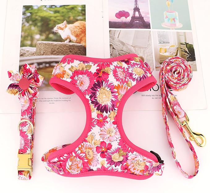 Beirui Cute Girl Dog Collars, Harnesses & Leashes Set - Adjustable Dog Collar and Leash Set with Flower - Soft Mesh Dog Vest Harness for Puppies Small Medium Dogs (Pink-2,S)