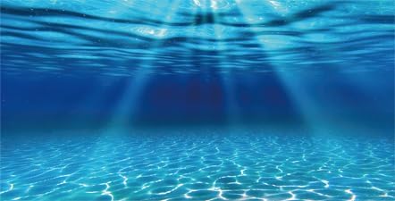 Natural Undersea Aquarium Background, Underwater Ocean Sunlight Fish Tank Background 48X20IN with 8 EVA Double-Sided Tape