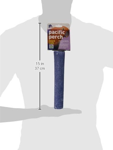 Prevue Pet Products Pacific Perch Beach Walk X-Large