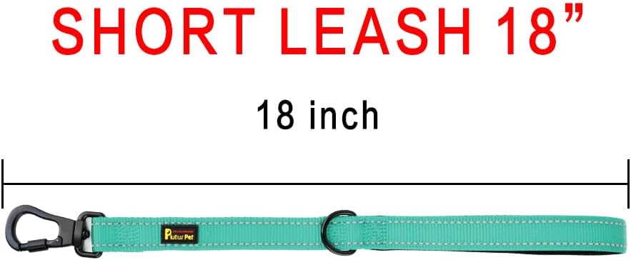 PLUTUS PET Short Training Dog Leash with Padded Handle for Medium Large Dogs,18 Inch Heavy Duty Strong Traffic Leash with Carabiner Clip for Climbing Walking or Guiding Blind(18”，Teal)