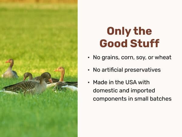 Superfood Nuggets- Premium, Freeze-Dried raw Dog Food Topper or Treat. Powerful Nutrient-Dense Ingredients. No Artificial additives. Duck and Kale Formula 8oz - 4pk Bundle