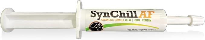 SynChill AF Calming Gel for Nervous Horses - Single Serving - Advanced Formula with L-Theanine, Increased Potency, 100% Natural Supplement, Disposition & Confidence Support for Horses