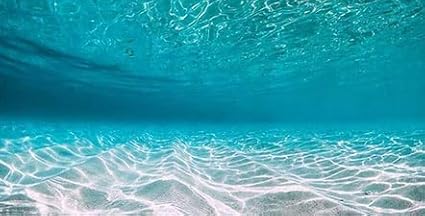 72X18IN Natural Undersea Aquarium Background, Undersea Beach Fish Tank Background, with 8 EVA Double-Sided Tape