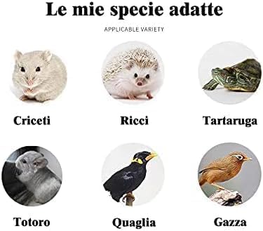 Food for Hamsters, Hedgehogs, Lizards, Frogs, Birds, Hedgehogs, Snacks, Nutritious, high Protein, Cooked breadworms, Small Animal Food