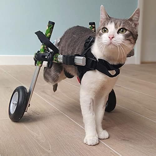 Walkin' Wheels Lightweight – for Small Cats 2 to 20 Pounds – Veterinarian Approved – Cat Wheelchair for Back Legs, for Cats 11-20 lbs, 7-8 inches Leg Height – Blue
