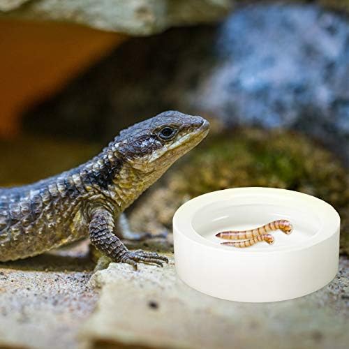 Meanplan 4 Pcs Reptile Bowl Food Dish 2.71 Inch Reptile Water Food Feeding Dish Ceramic Worm Pet Bowl Anti Escape Feeder for Lizard Anoles Chameleon Bearded Dragon Hermit Crab
