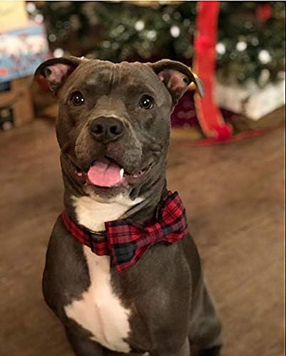 Elegant little tail Dog Collar with Bow, Cotton & Webbing, Bowtie Dog Collar, Adjustable Dog Collars for Small Medium Large Dogs and Cats