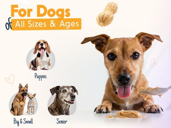 BUDDY BUDDER 6 Pack Mixed Flavor Squeeze Packs, 100% Natural Dog Peanut Butter, Healthy Peanut Butter Dog Treats, Made in USA, (4oz Packs)