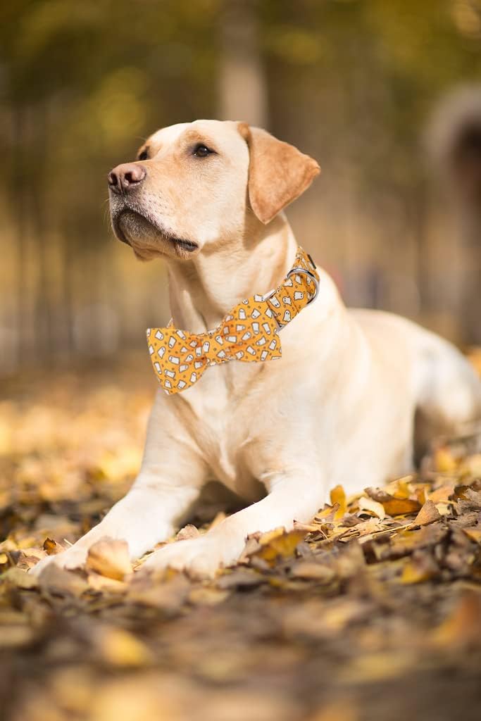 Lionet Paws Halloween Dog Collar with Bowtie - Cute Cotton Adjustable Fall Bowtie Dog Collar with Metal Buckle for Small Medium Large Dog Girl Boy Gift, XL, Neck 16-26in