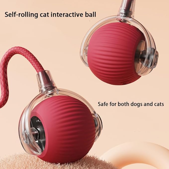2 Packs Interactive Cat Toy Ball for Indoor Cats - 3-Speed Smart Rolling Ball with Flashing Lights, USB Rechargeable Automatic Motion Kitten Toys for Bored Adult Cats & Playful Kittens