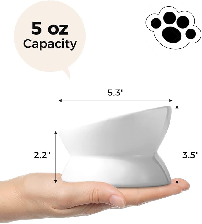 LoeJan Elevated Cat Food Bowl, 5 Oz Ceramic Raised and Tilted Water Bowl, Anti Vomiting and Protect Pets' Spines Dishes for Small Dog, Fat Faced Cat, Kitten (White, 1 Pack)