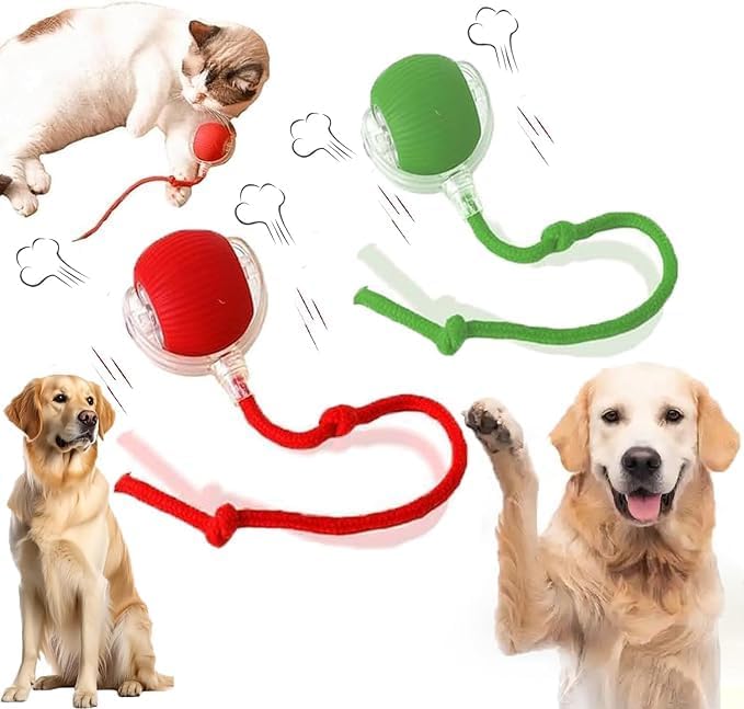 2 Packs New Electric Dog Ball Toy for Cat,360° Smart Automatic Interactive Rolling Dog Smart Pet Toy Ball,Gift for Kids