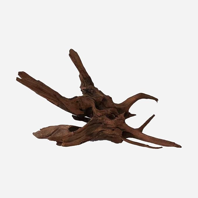 LYPHARD AQUARIUMS Natural Driftwood for Aquarium Decor, L19.69×W11.81×H13.39 Inches Large Drift Wood Decorations for Reptile Hide, Fish Tank, Optional Shapes