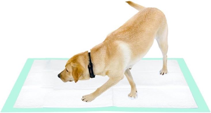Dog Pee Pads for Dogs XXL 30"x36" Charcoal Puppy Pads 20 Counts Extra Large Disposable Activated Carbon Super Absorbent Full Edge-Wrapping Pee Pads Odor-Control Training Pads（Simplified Version）