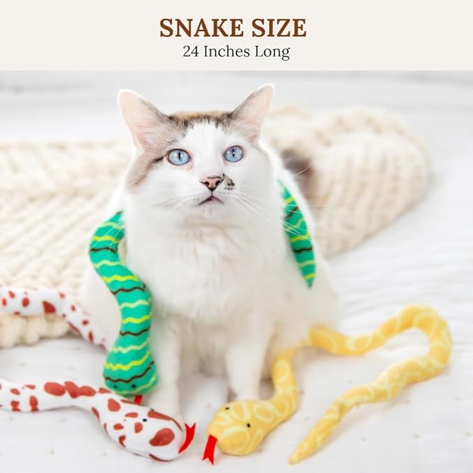Cat Toy Snake Lizard Catnip Toys Chew Bite Resistant Toys for Indoor Cats Boredom Relief Teeth Cleaning Interactive Funny Cute Kitten Cat Lover Gifts Set of 6 Realistic Hunt Prey Activity Games