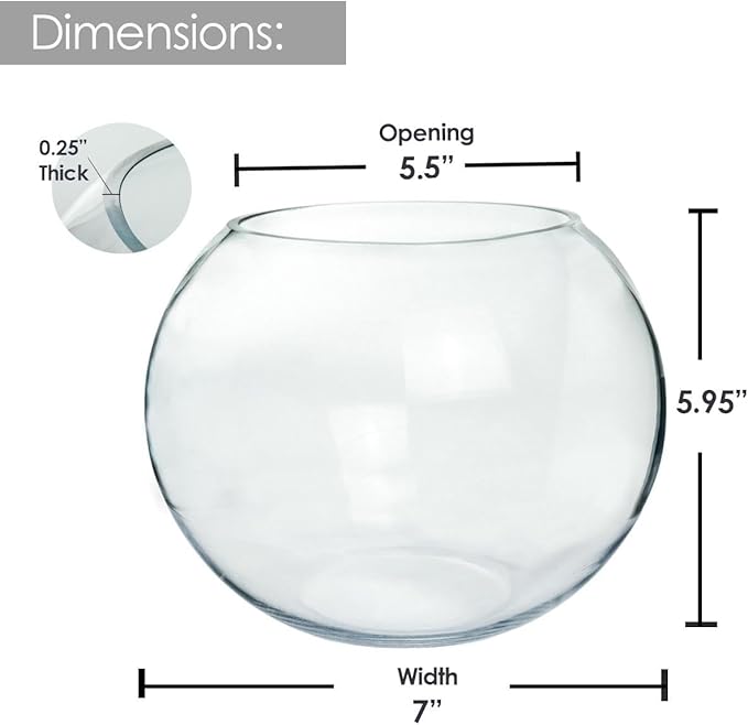 Craft And Party, Glass Bubble Vase, 6" Height x 8" Width, Set of 4 Glass Fish Bowl Vase, Bubble Bowl vase for Terrarium, Flower Vase Centerpiece