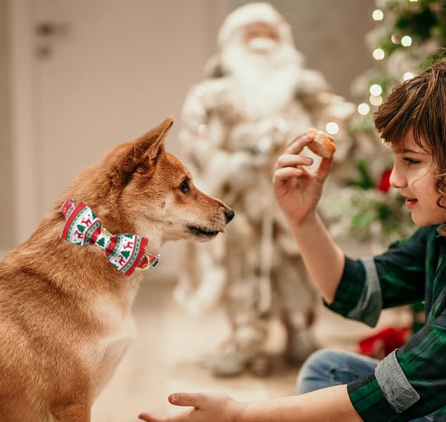 Unique Style Paws Christmas Day Dog Collar with Bow Christmas Tree Cotton Puppy Collars for Small Medium Large Dogs